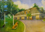Quarry Ridge Animal Hospital  
